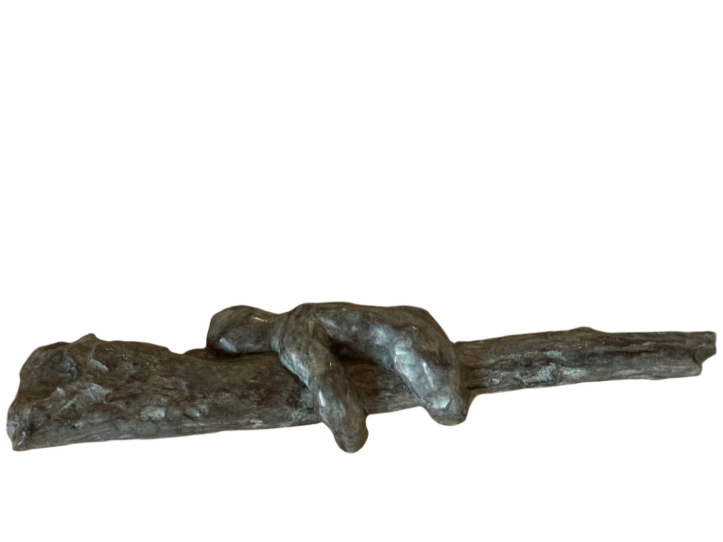 Ivo goes Up by Didier Guillon-3