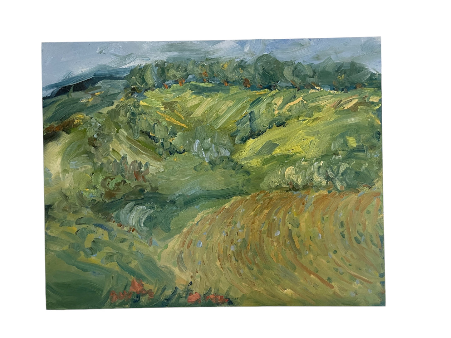 Il Mare Verde by Sophie Westerlind