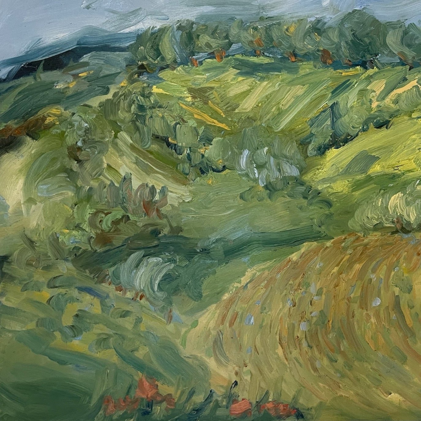 Il Mare Verde by Sophie Westerlind