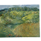 Il Mare Verde by Sophie Westerlind