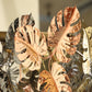 Eleganza raffinata 01-3106